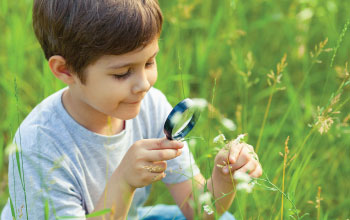 Child sitting in field looking at a white flower through a magnifying glass.